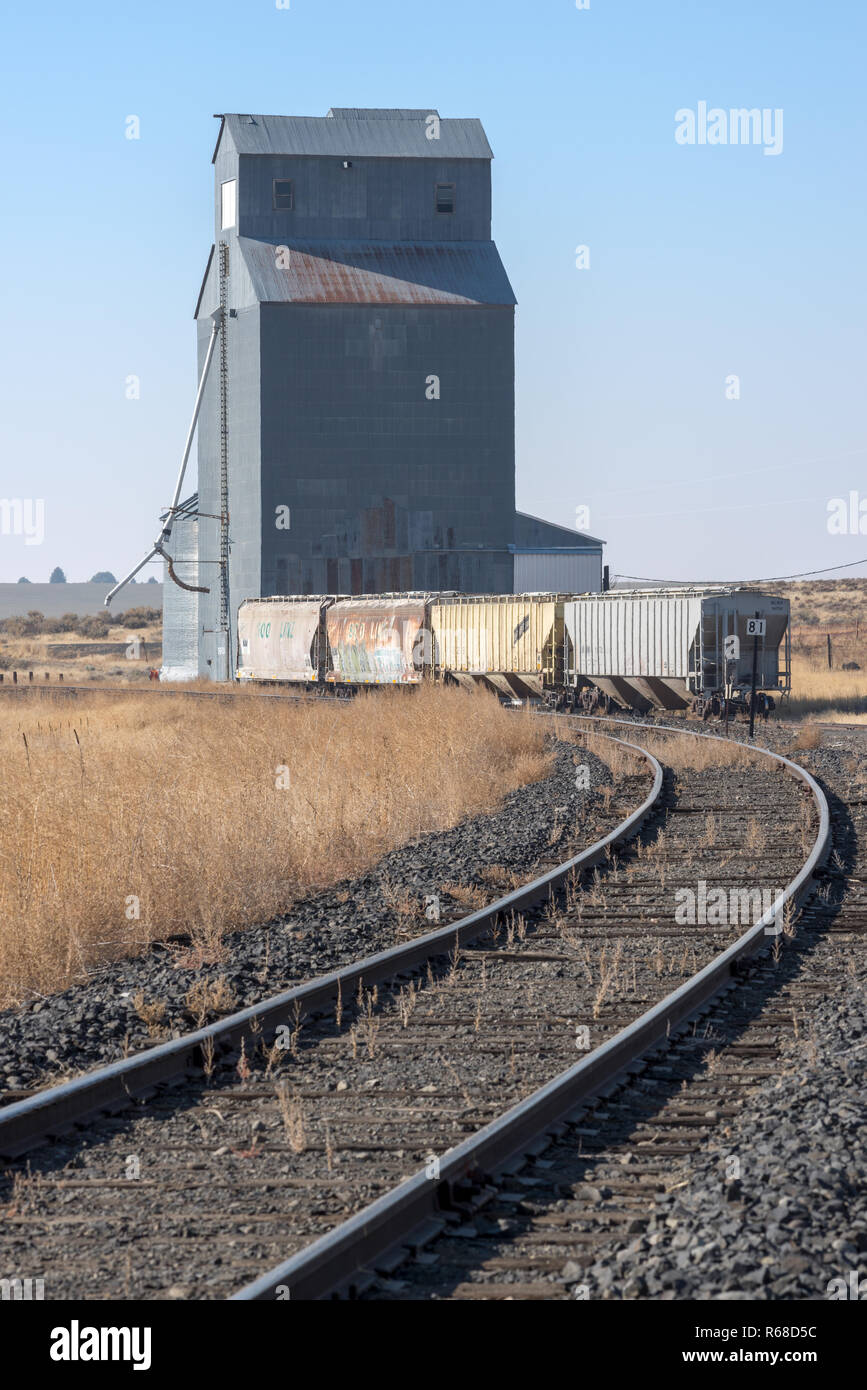 Vagoni ferroviari su un binario morto da un elevatore del grano in Govan, Washington. Foto Stock