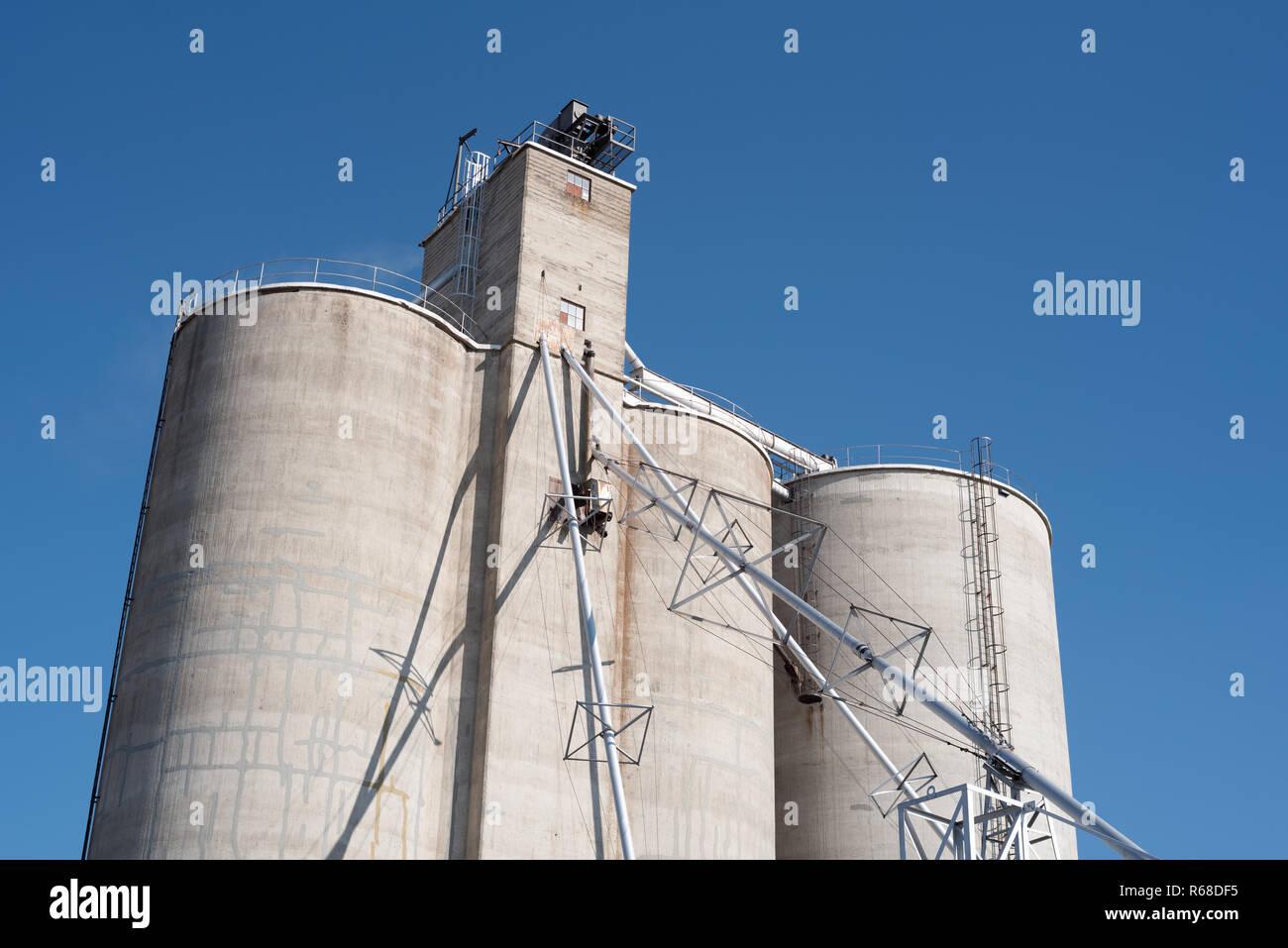 Elevatore della granella, Govan, Washington. Foto Stock