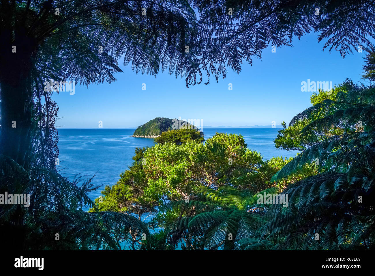 Visualizzazione traccia nel Parco Nazionale Abel Tasman, Nuova Zelanda Foto Stock