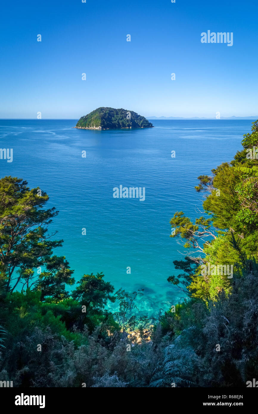 Visualizzazione traccia nel Parco Nazionale Abel Tasman, Nuova Zelanda Foto Stock