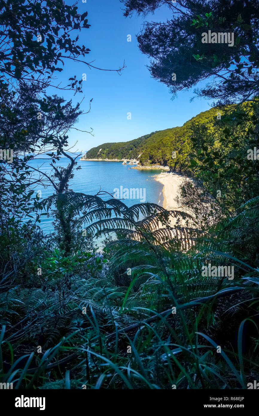 Visualizzazione traccia nel Parco Nazionale Abel Tasman, Nuova Zelanda Foto Stock