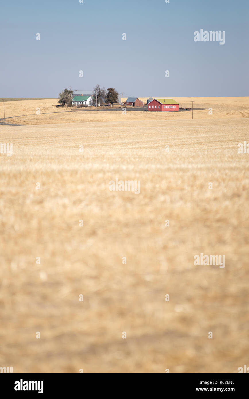 Azienda agricola sulla prateria di Eastern Washington. Foto Stock