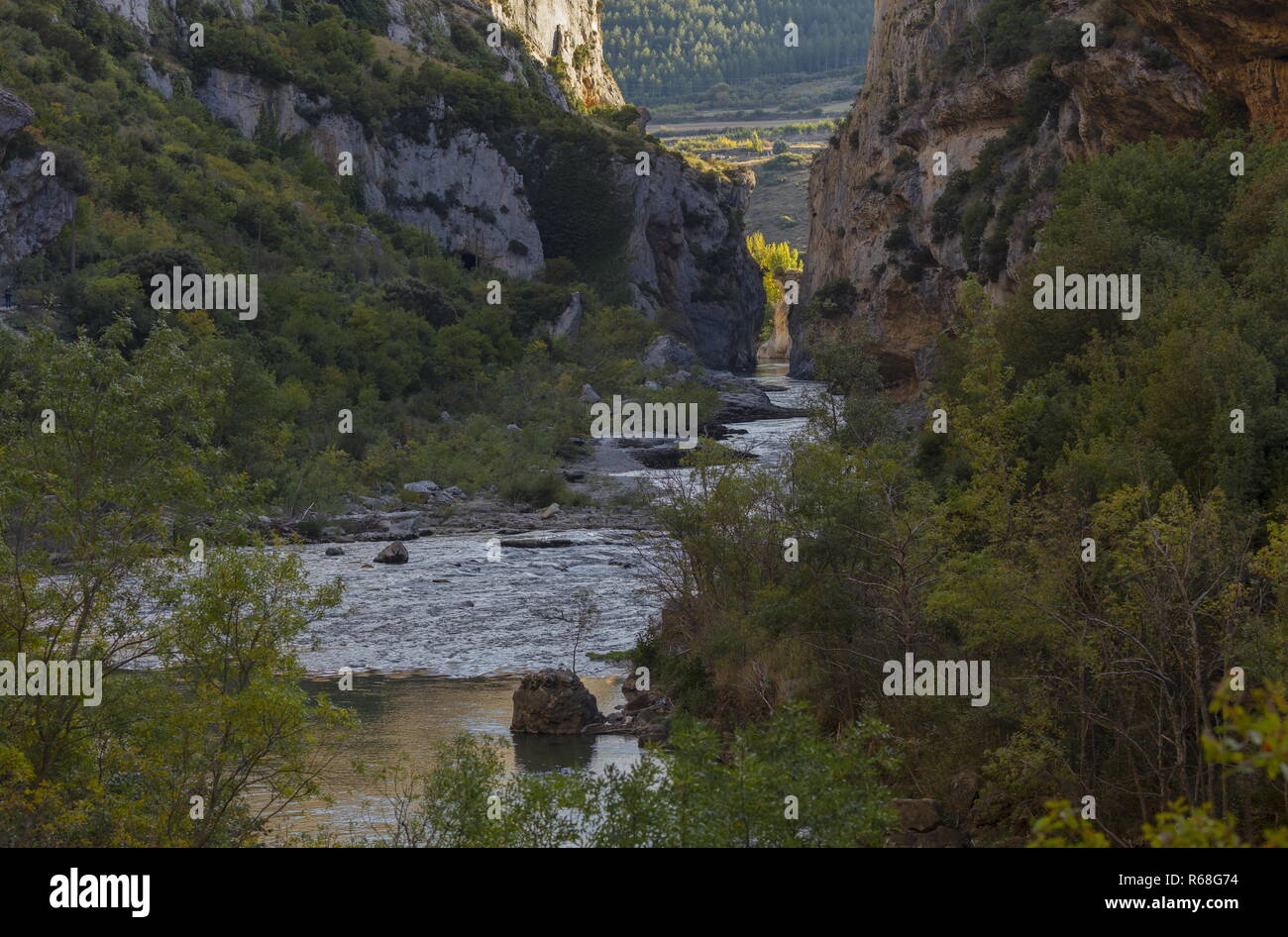 Il fiume Irati in Foz de Lumbier, (Gola di Lumbier ), Navarra, Spagna Foto Stock