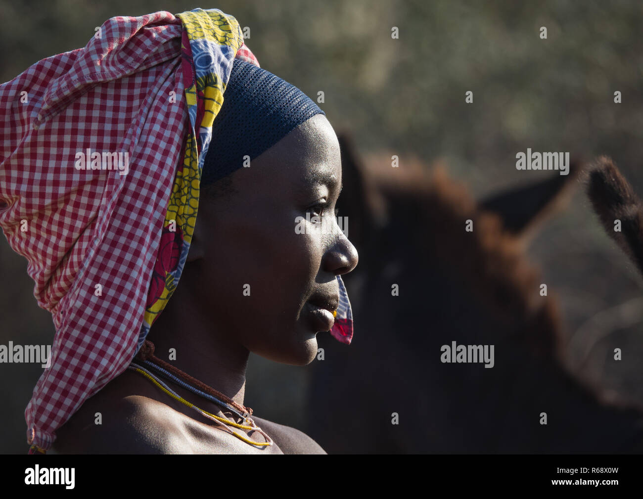 Ritratto di una tribù Mucubal donna, provincia di Namibe, Virei, Angola Foto Stock