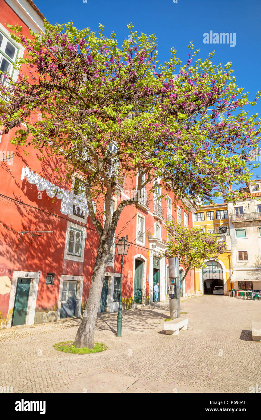 Affascinante quartiere di Alfama a Lisbona, Portogallo Foto Stock