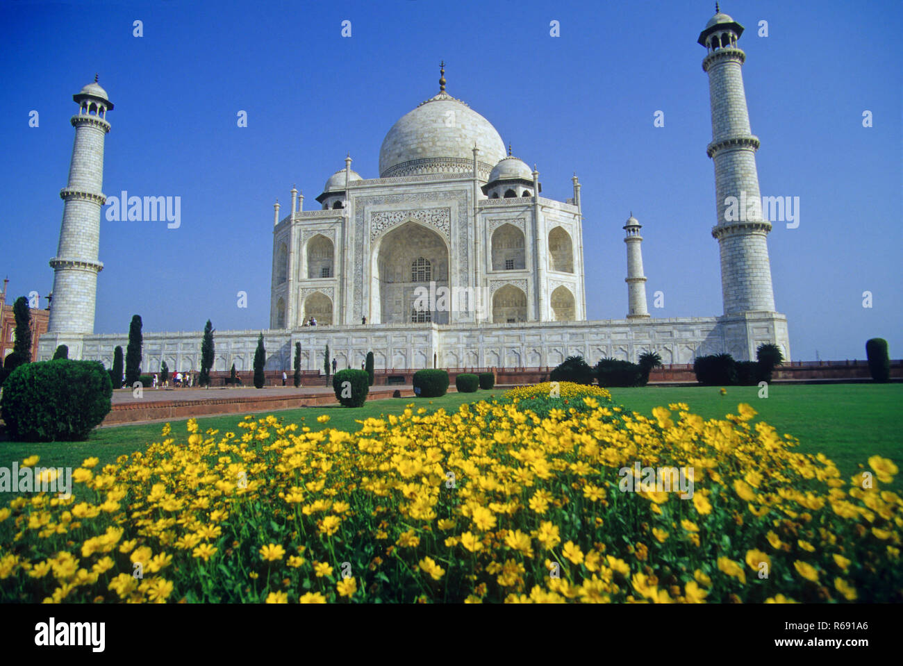 Taj Mahal, mausoleo in marmo bianco d'avorio, meraviglie del mondo, patrimonio dell'umanità dell'UNESCO, Agra, Uttar Pradesh, India, Asia Foto Stock