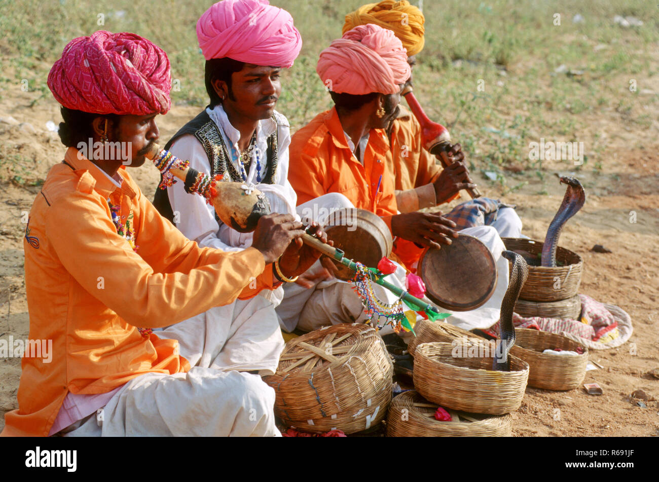 Snake Charmers suonando pungi, India, Asia Foto Stock