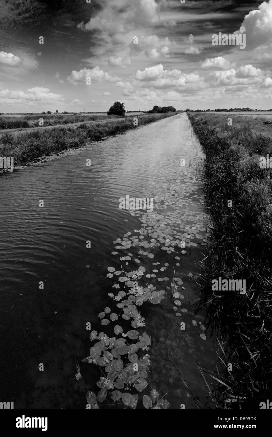 Estate; Bevills apprendere drain; Pondersbridge village; Fenland; Cambridgeshire; Inghilterra; Regno Unito Foto Stock