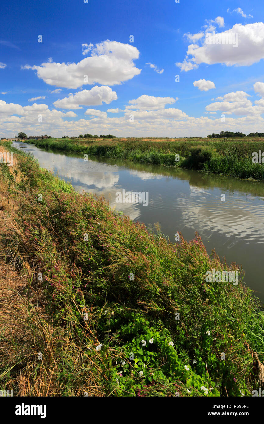 Estate; i venti piedi scaricare vicino a marzo la città; Fenland; Cambridgeshire; Inghilterra; Regno Unito Foto Stock