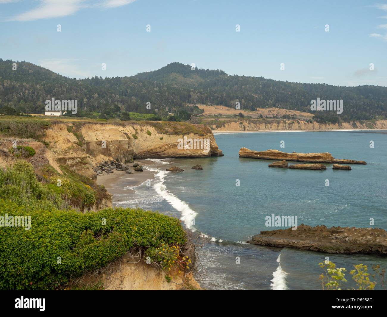 Ano Nuevo parco dello stato del paesaggio e Pacific Coast Beach, California Foto Stock