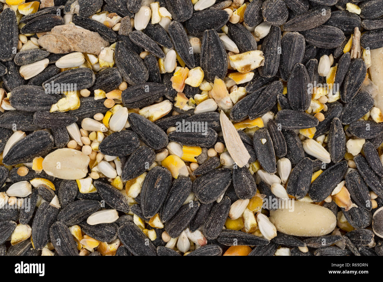 Vista ravvicinata di bulk di uccelli selvatici cibo con un assortimento di semi e noccioline. Foto Stock