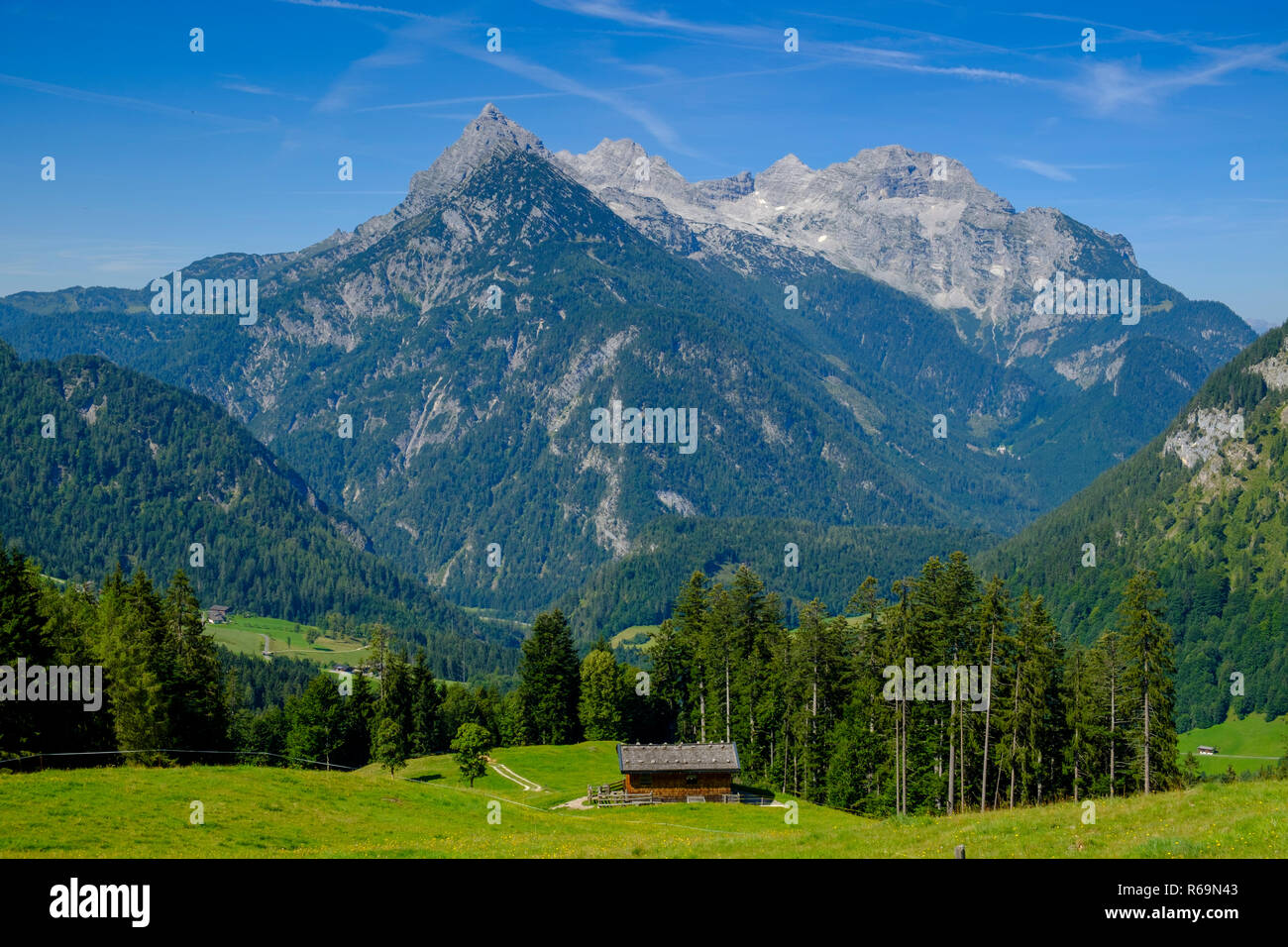 Big ox horn oltre i pascoli alpini, San Martino nei pressi di Lofer, del Pinzgau, Salzburger Land, Austria Foto Stock
