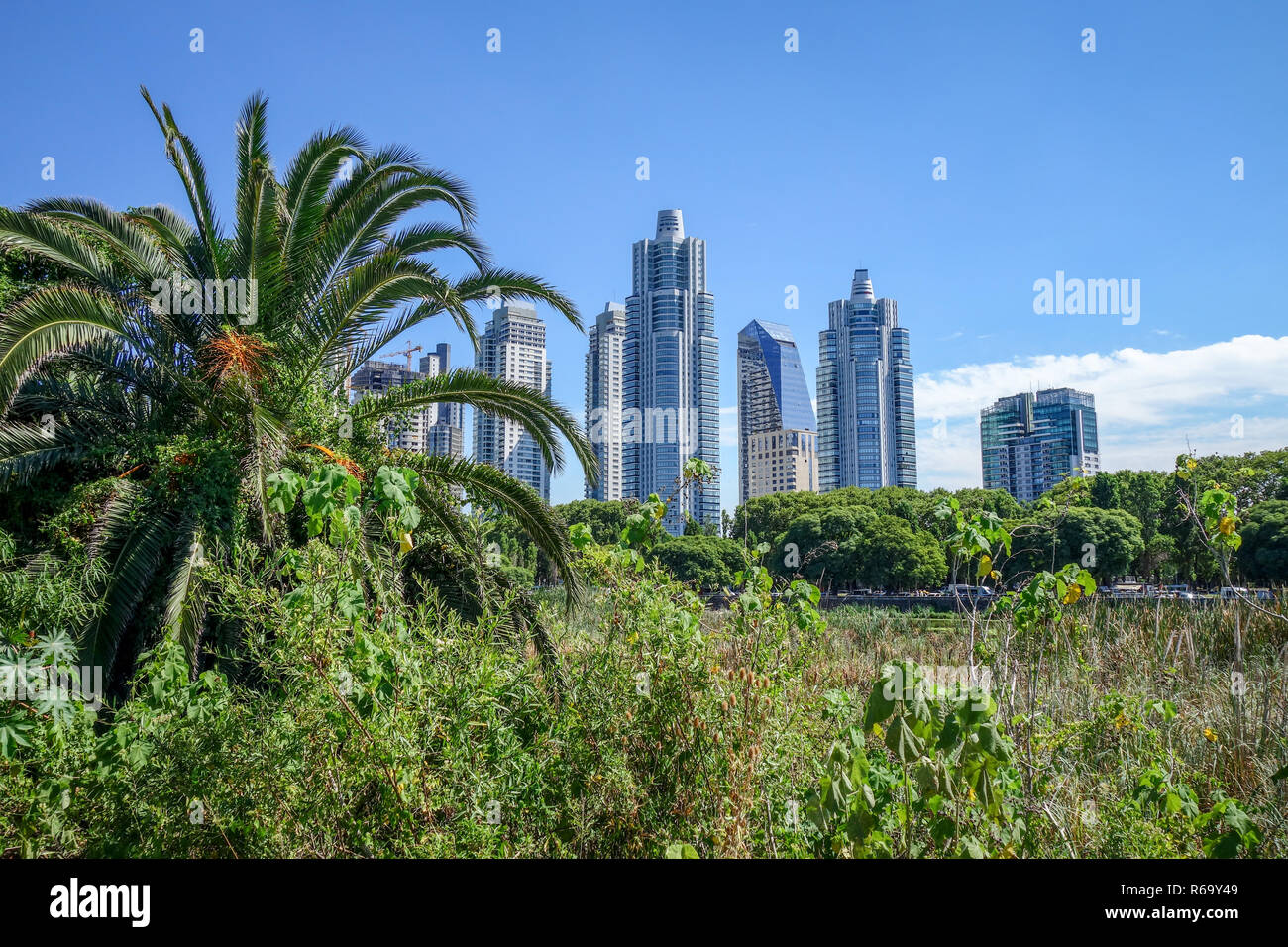 Buenos Aires, vista da Costanera Sur riserva ecologica Foto Stock