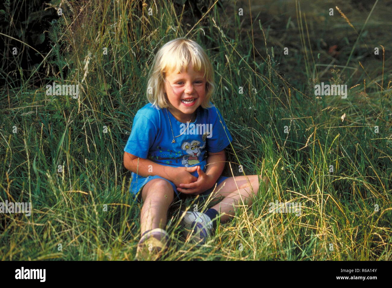 Ritratto, bionde Maedchen, 3 Jahre, bekleidet mit blauem T-Shirt, lachend sitzt im hohen gruenen Gras Foto Stock