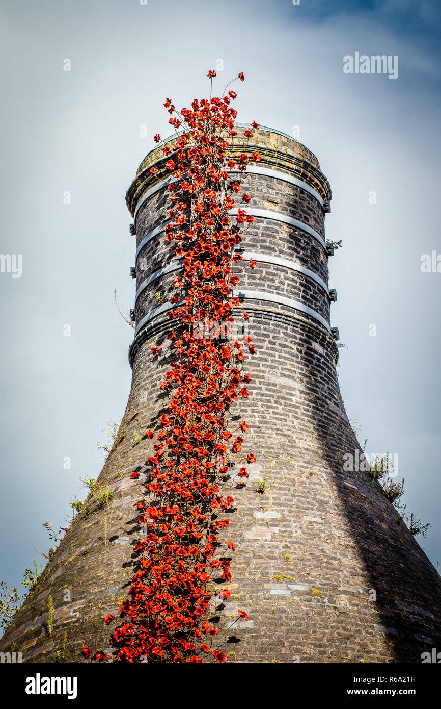 Piangendo papaveri installazione a Middleport ceramica in Stoke on Trent per commemorare i 100 anni dalla guerra mondiale 1 Foto Stock Piangendo papaveri installazione a Middleport ceramica in Stoke on Trent per commemorare i 100 anni dalla guerra mondiale 1 Foto Stock