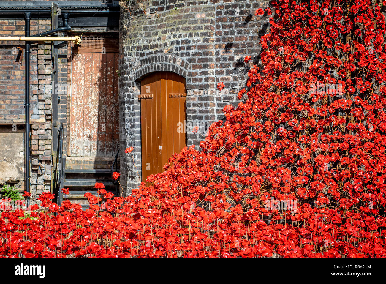 Piangendo papaveri installazione a Middleport ceramica in Stoke on Trent per commemorare i 100 anni dalla guerra mondiale 1 Foto Stock Piangendo papaveri installazione a Middleport ceramica in Stoke on Trent per commemorare i 100 anni dalla guerra mondiale 1 Foto Stock