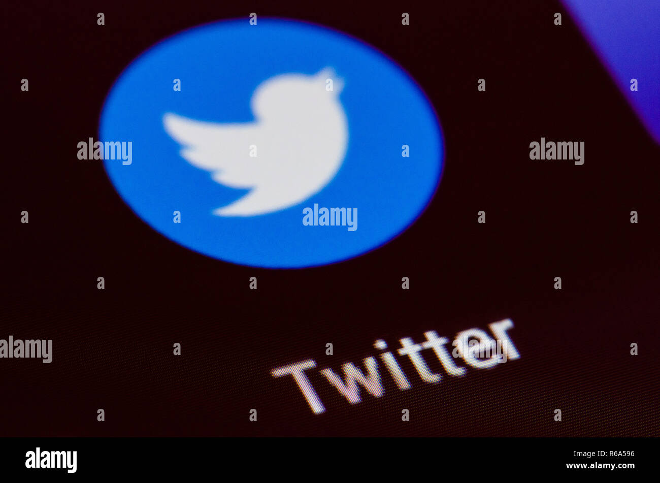 L'app Twitter viene visualizzata sullo smartphone con un dito. Twitter uno dei più grandi siti di social network. App social media. Social network. Elon Musk Foto Stock