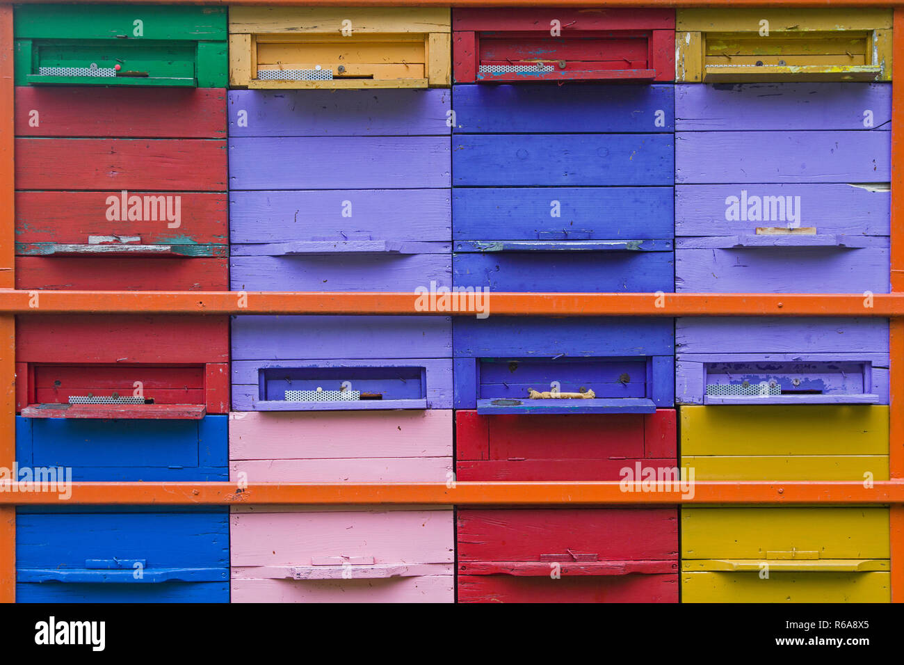 Molte api vivono in queste colorate alveari Foto Stock