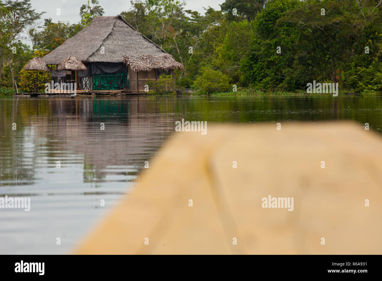 Amazzonia peruviana scena Foto Stock