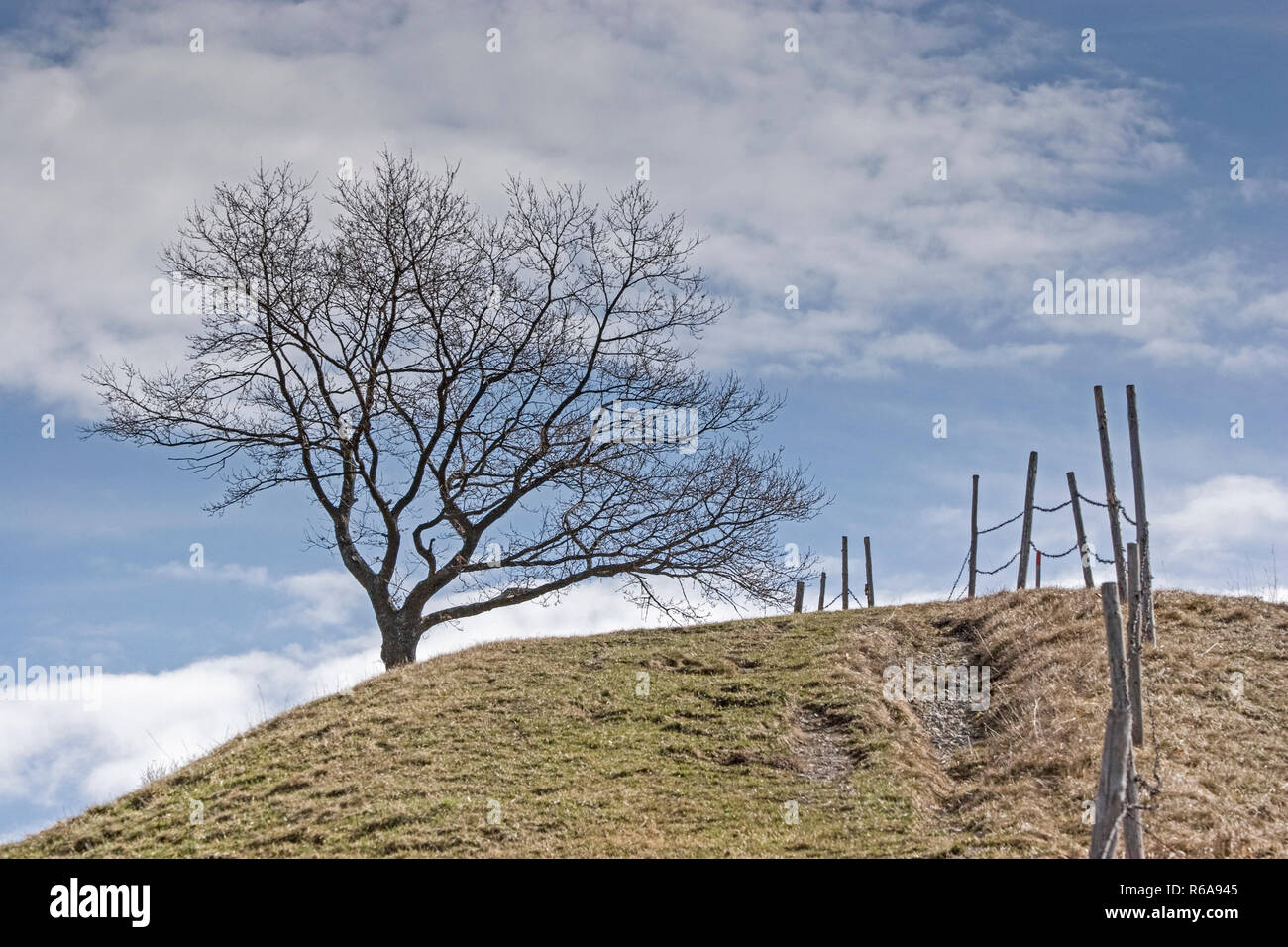 Paesaggio idillico impressioni dal bavarese superiore Prealpi Salisburghesi Foto Stock