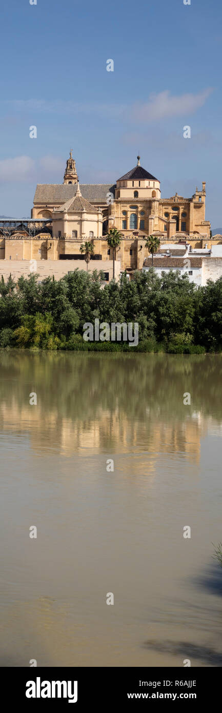 Mezquita, Córdoba, Andalusia, Spagna, Europa Foto Stock