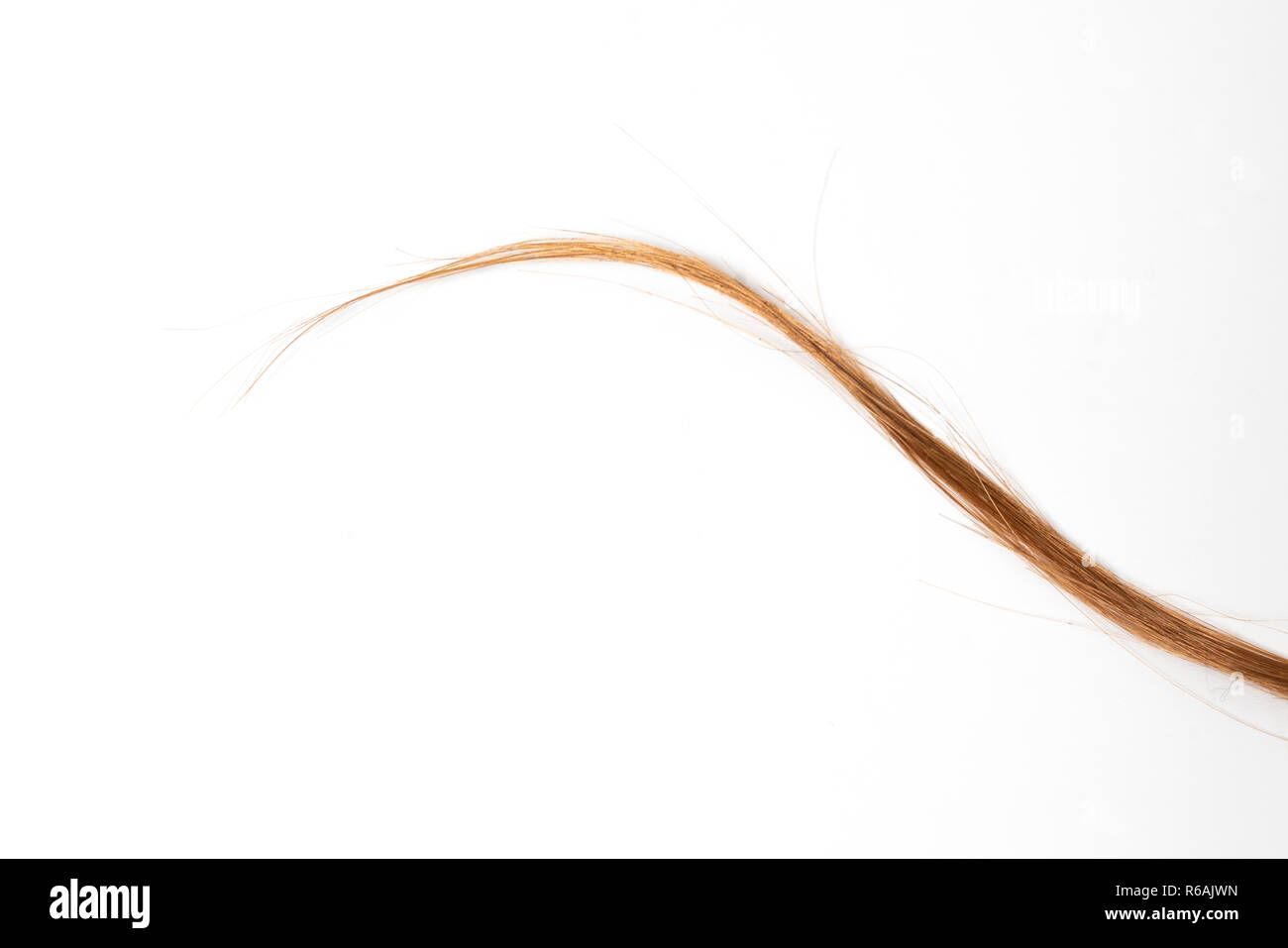 Una ciocca di capelli biondi Foto Stock