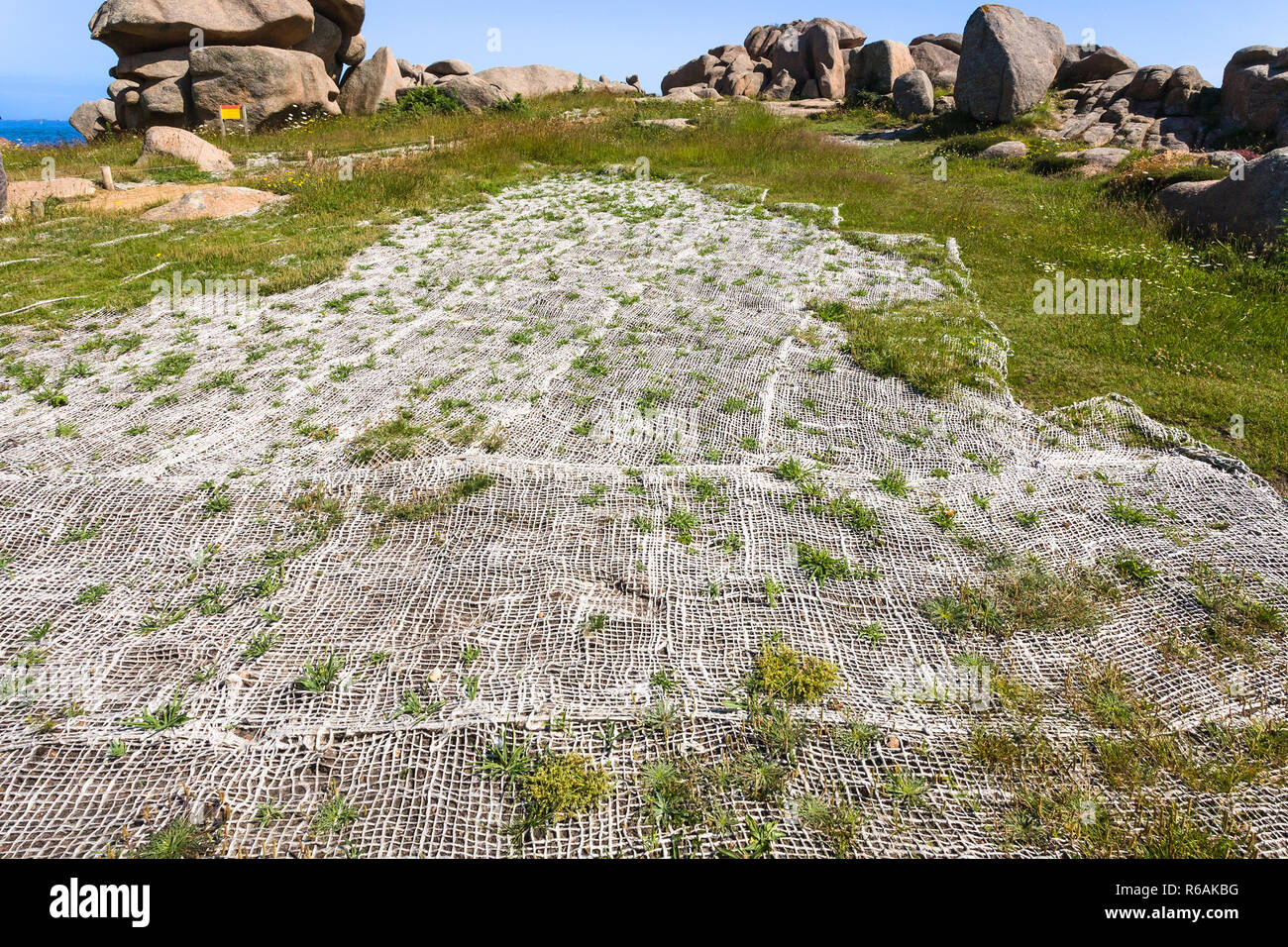 Protezione di erba mesh nel sito Ploumanach Foto Stock
