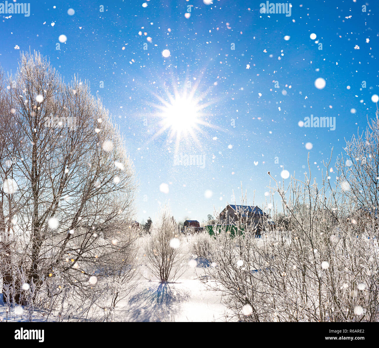 Incantevole paesaggio invernale con la foresta, la neve e il blu del cielo. Scenario soleggiato con alberi coperti di neve. Foto Stock