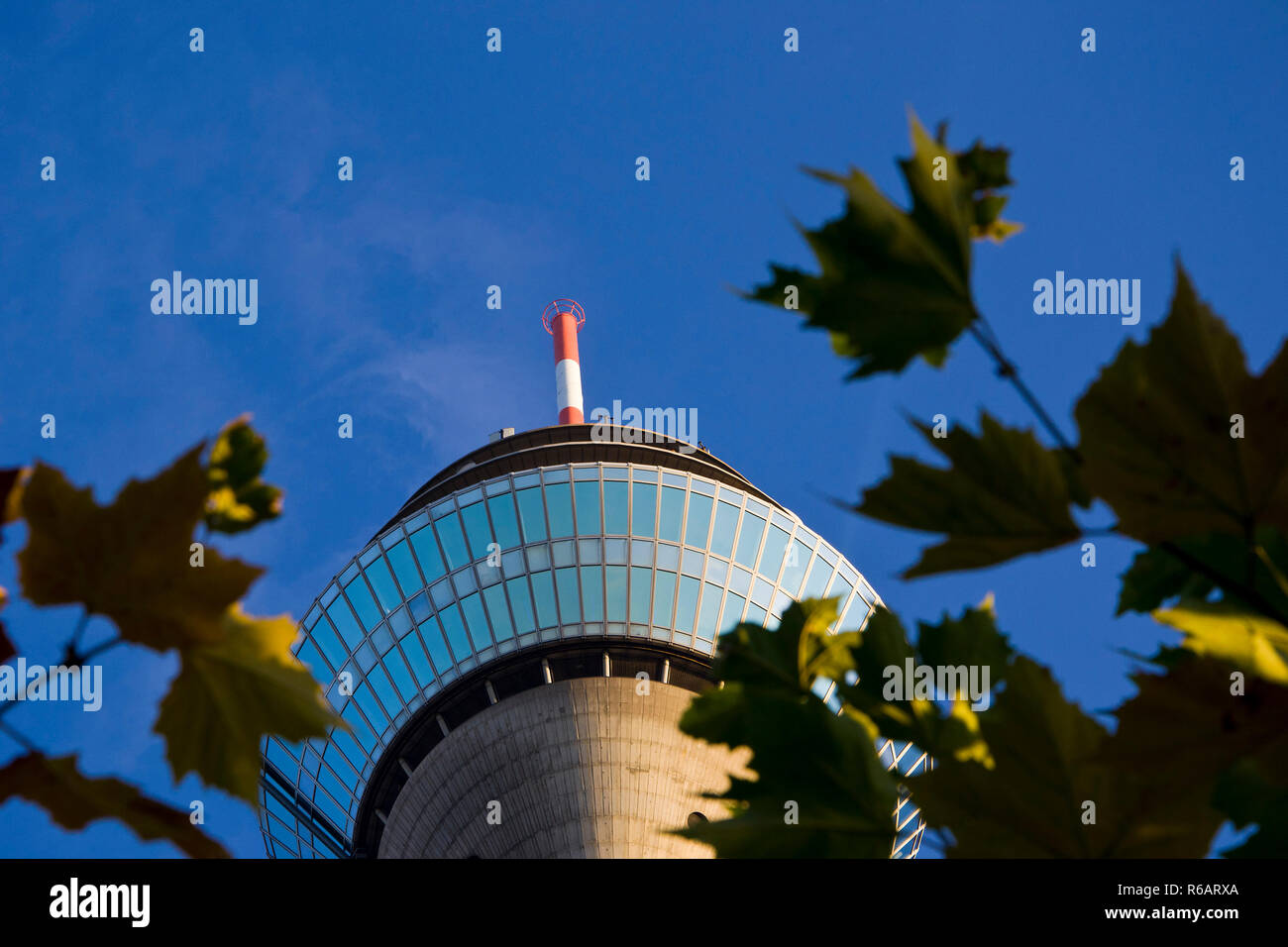 Blick auf den Rheinturm (Fernsehturm) von unten, Düsseldorf 2015. Vista sulla Torre sul Reno (Torre della TV), Dusseldorf 2015. Foto Stock