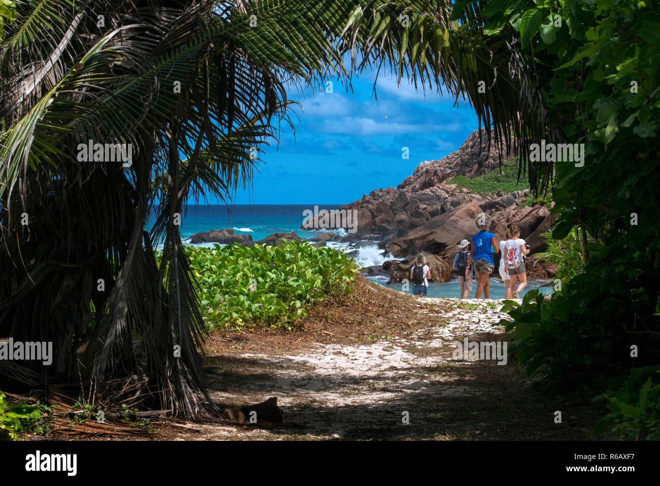 I turisti in l'isola di Aride Seychelles Oceano Indiano Africa Foto Stock