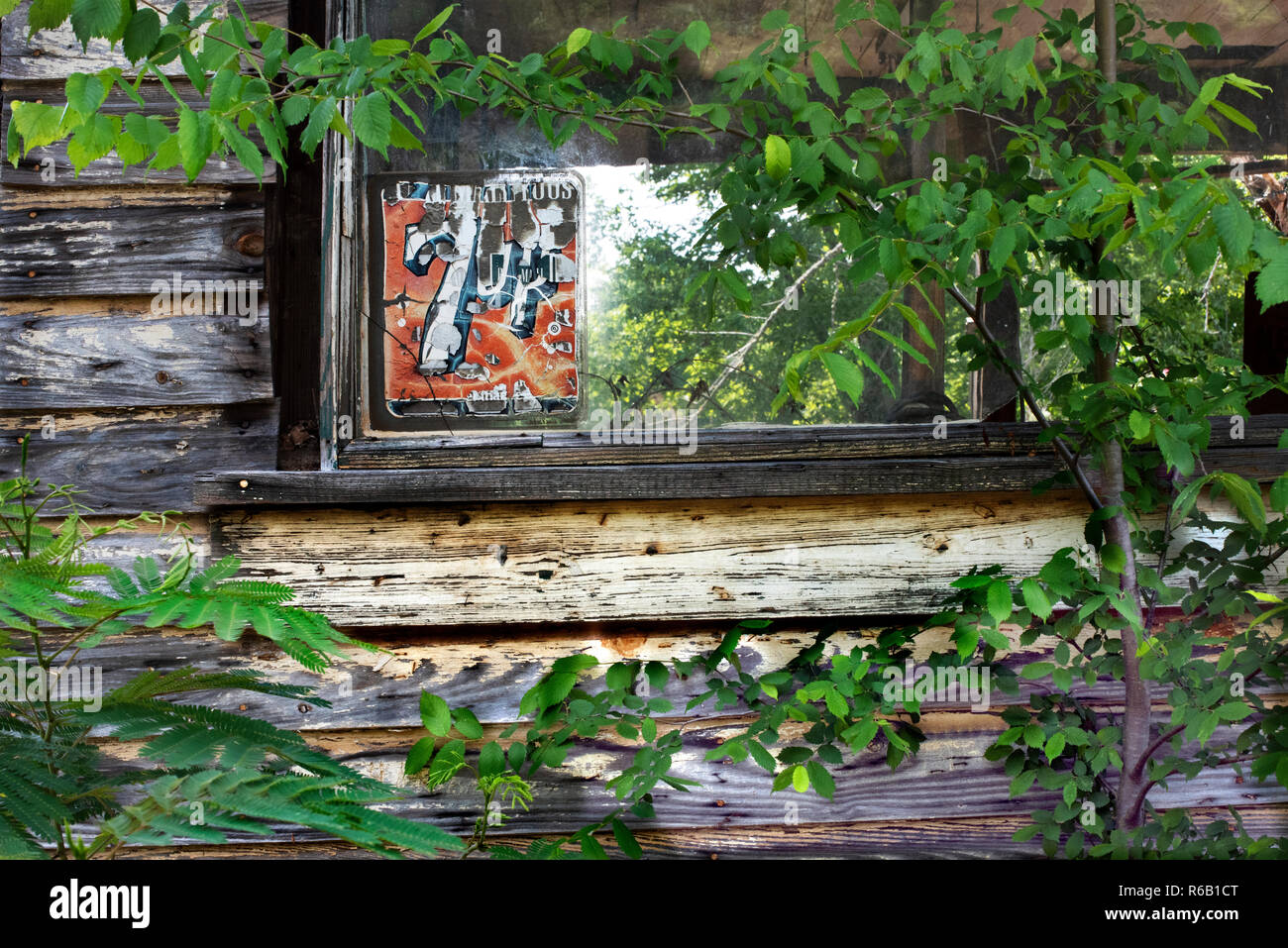 ELM GROVE, LA., U.S.A. - 20 maggio 216: Natura recupera gradualmente un negozio abbandonato edificio in una zona rurale. Foto Stock