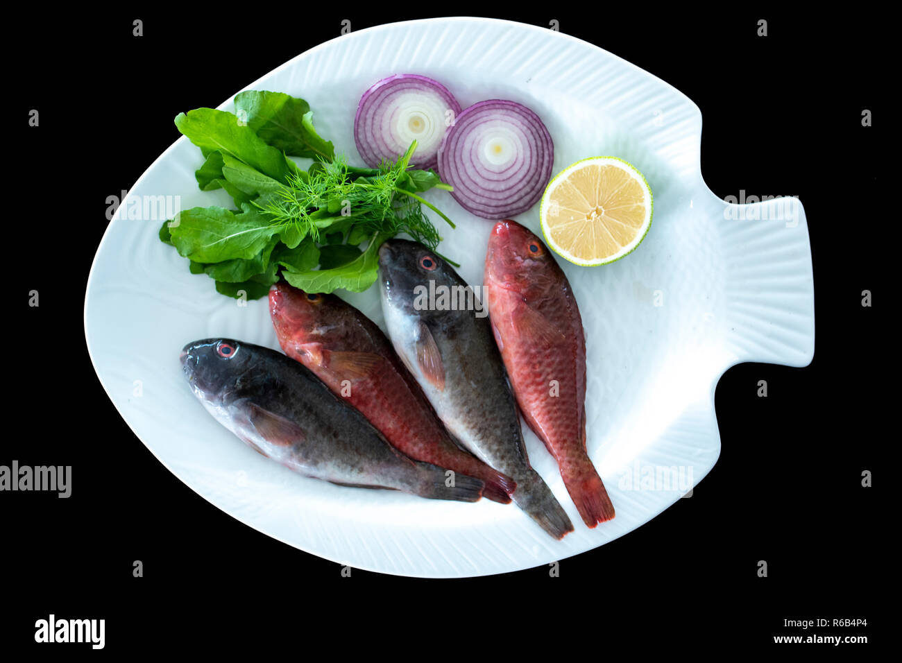 Pesce Pappagallo Mediterraneo Immagini e Fotos Stock - Alamy