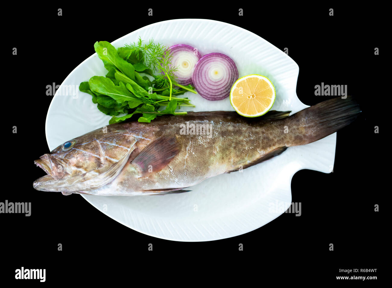 Golden Mediterranea di pesce cernia con razzi lascia servita su piastra bianca con sfondo nero Foto Stock
