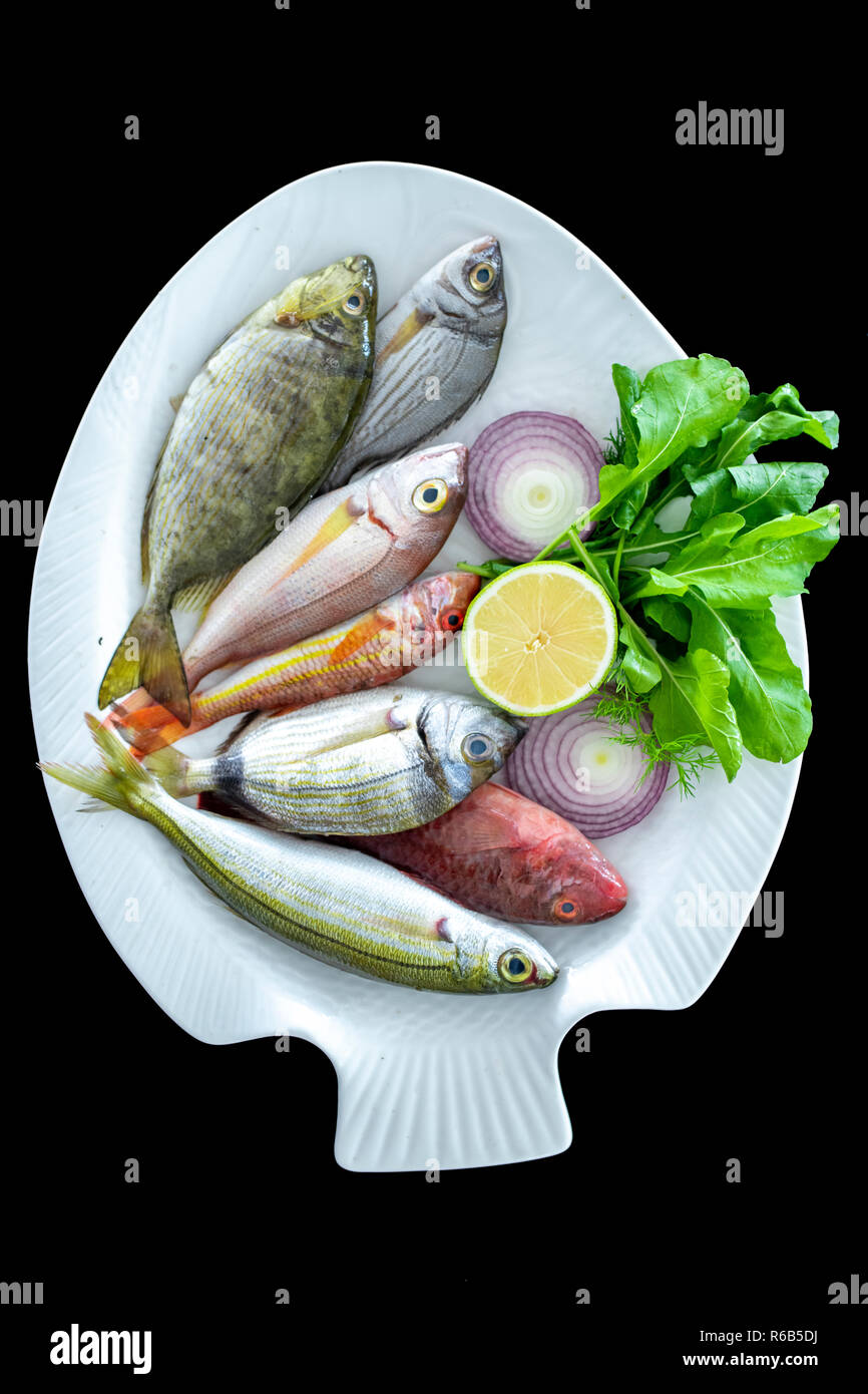 Vari pesci mediterranei boga pesce, triglie, pezzata spinefoot, pesci pappagallo sulla piastra bianca con sfondo nero Foto Stock