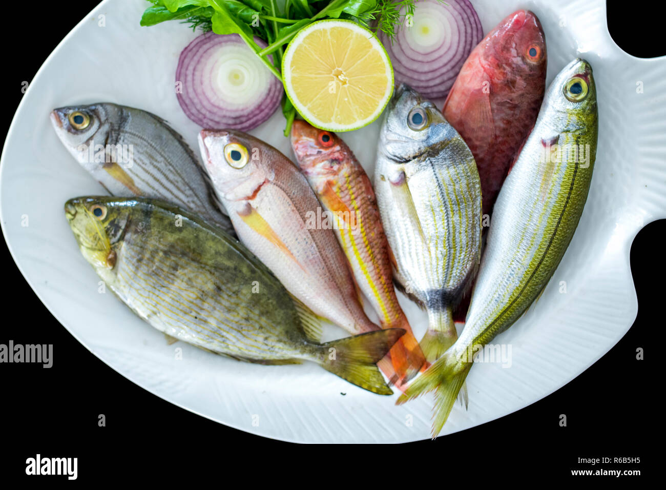 Vari pesci mediterranei boga pesce, triglie, pezzata spinefoot, pesci pappagallo sulla piastra bianca con sfondo nero Foto Stock