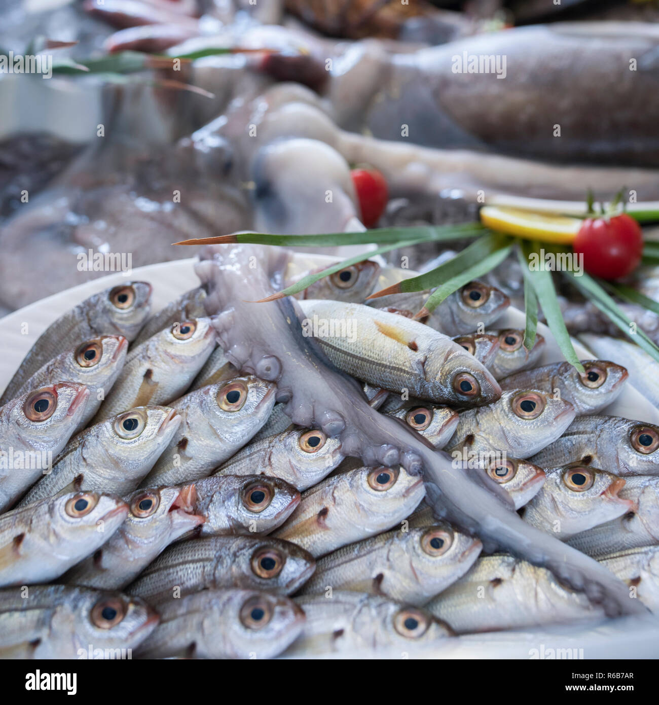 Aragosta, polpi, seppie, calamari, calamari, triglie, cernia, spigola, orata, boga pesci, granchi e gamberi su ghiaccio al supermercato Foto Stock