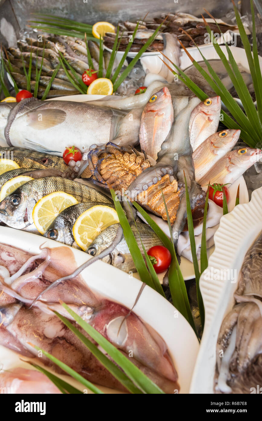 Aragosta, polpi, seppie, calamari, calamari, triglie, cernia, spigola, orata, boga pesci, granchi e gamberi su ghiaccio al supermercato Foto Stock