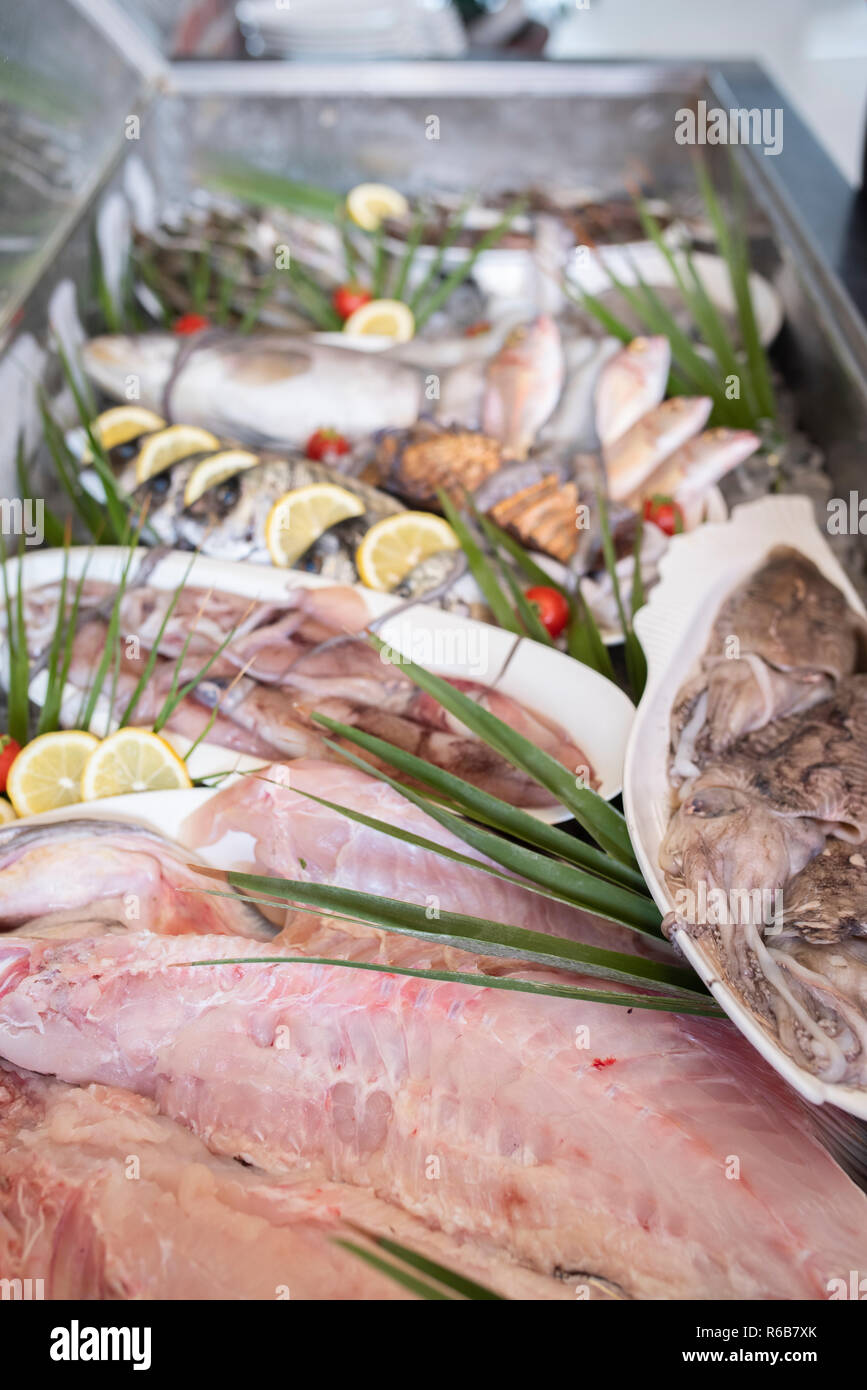 Aragosta, polpi, seppie, calamari, calamari, triglie, cernia, spigola, orata, boga pesci, granchi e gamberi su ghiaccio al supermercato Foto Stock