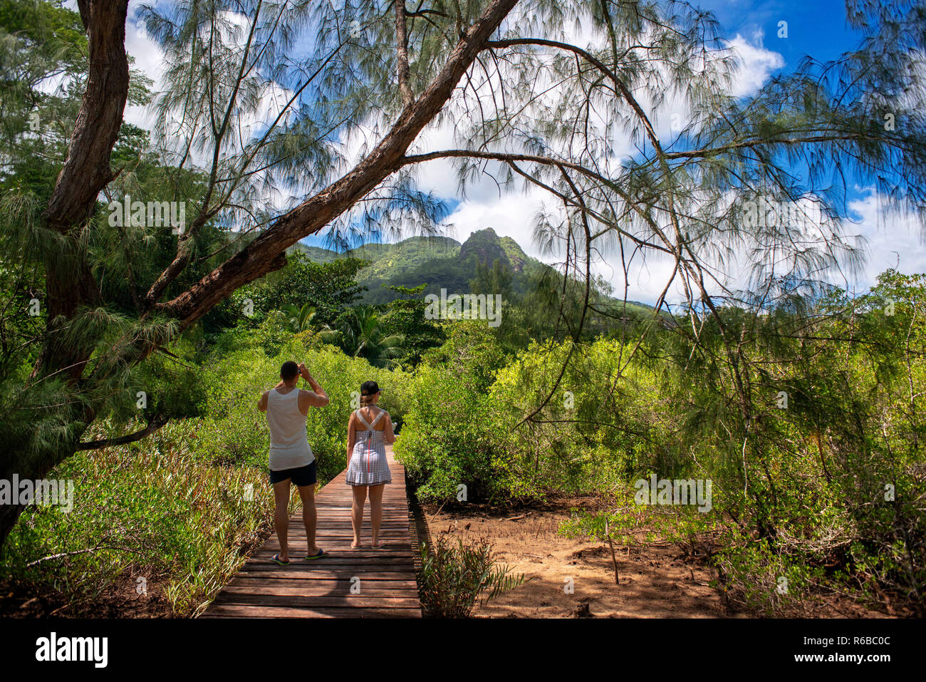 Paio di turista in Vacoa Sentiero Natura trekking isola di Mahé, Seychelles. Grand Anse, Vacoa Sentiero Natura passerella in legno che conduce al fiume Dauban Mangro Foto Stock