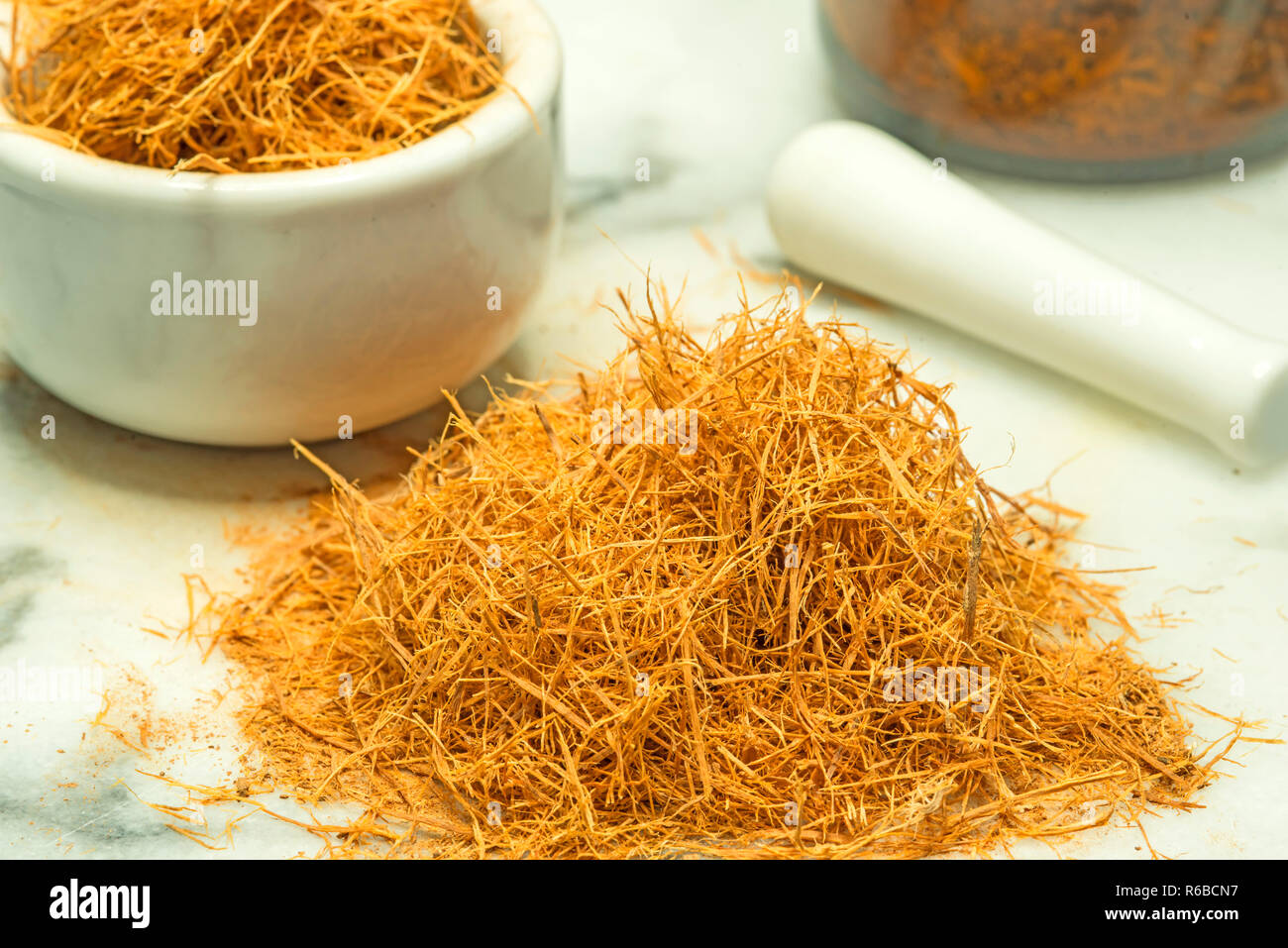 Cat's Claw, Uncaria tomentosa Foto Stock