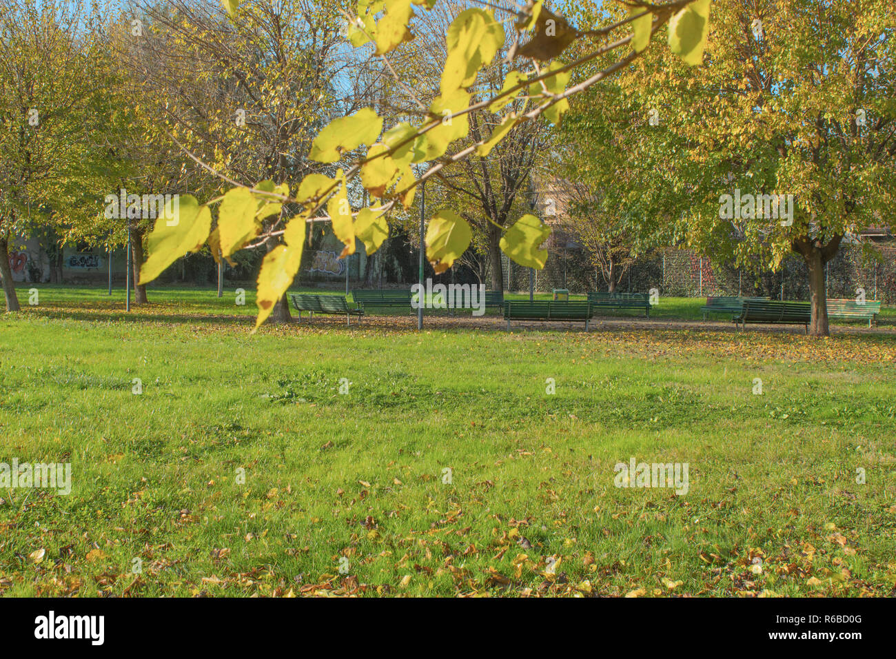 Parco ricreativo. area salotto con panchine Foto Stock