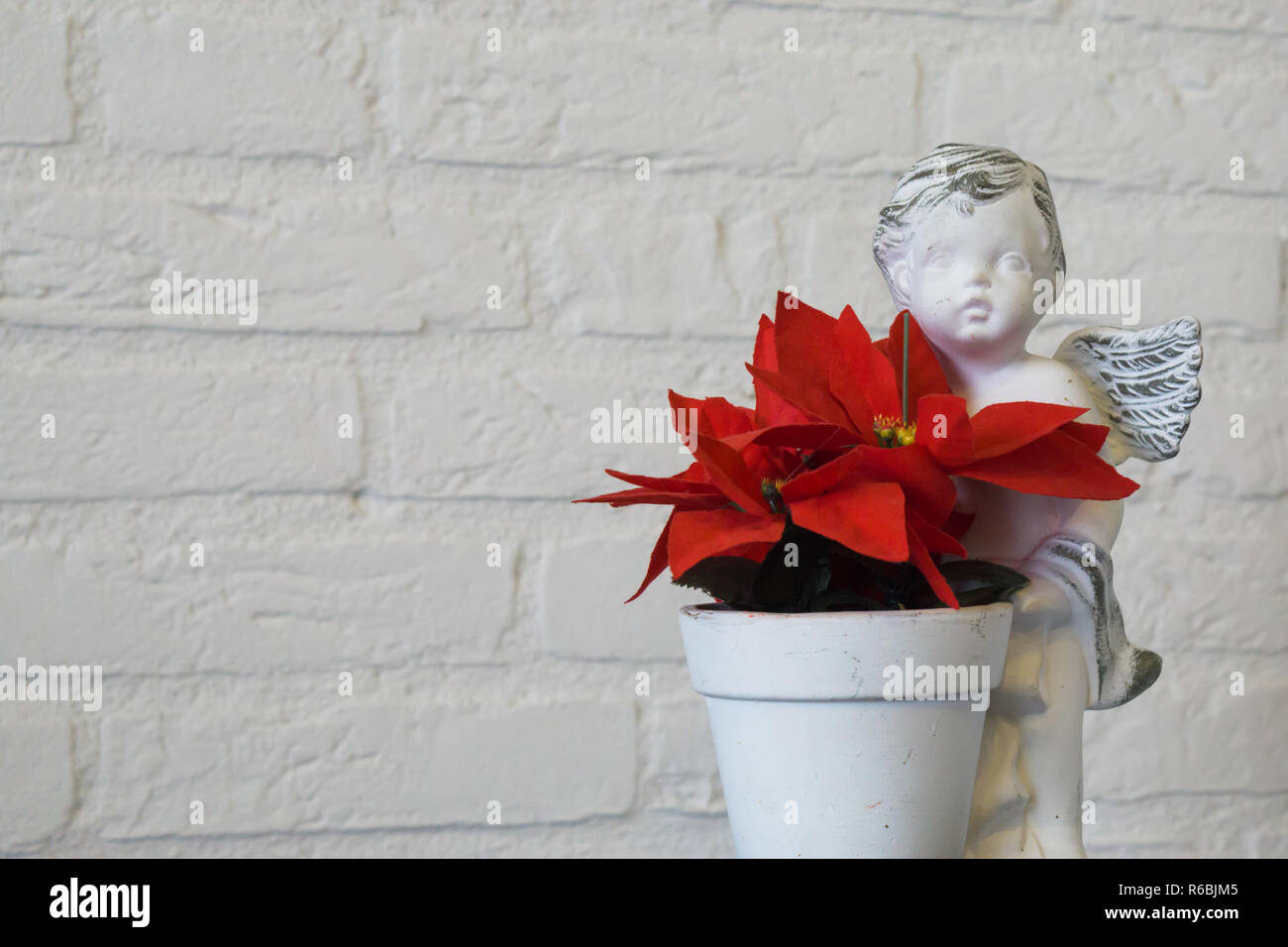 Stella Di Natale Finta.Primo Piano Di Una Rossa Stella Di Natale Fiore In Un Vaso Da Fiori Con Angelo Scultura Isolato Su Un Bianco Muro Di Mattoni In Background Foto Stock Alamy