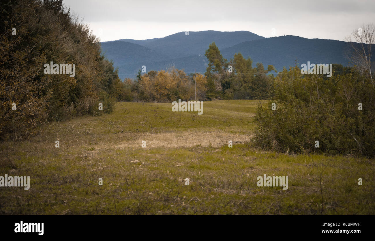 Paesaggio autunnale in un giorno nuvoloso, con le montagne sullo sfondo e gli alberi con foglie che cadono che sorrounds prato. Foto Stock