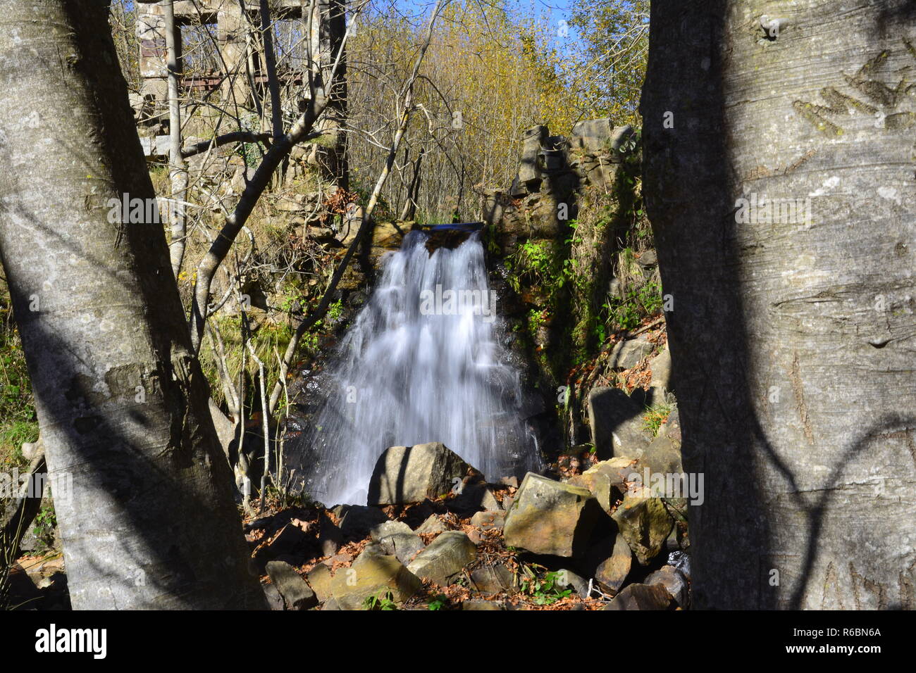 Cascata nel mezzo della foresta colori autunno Cascata nel bosco con colori autunnali Foto Stock