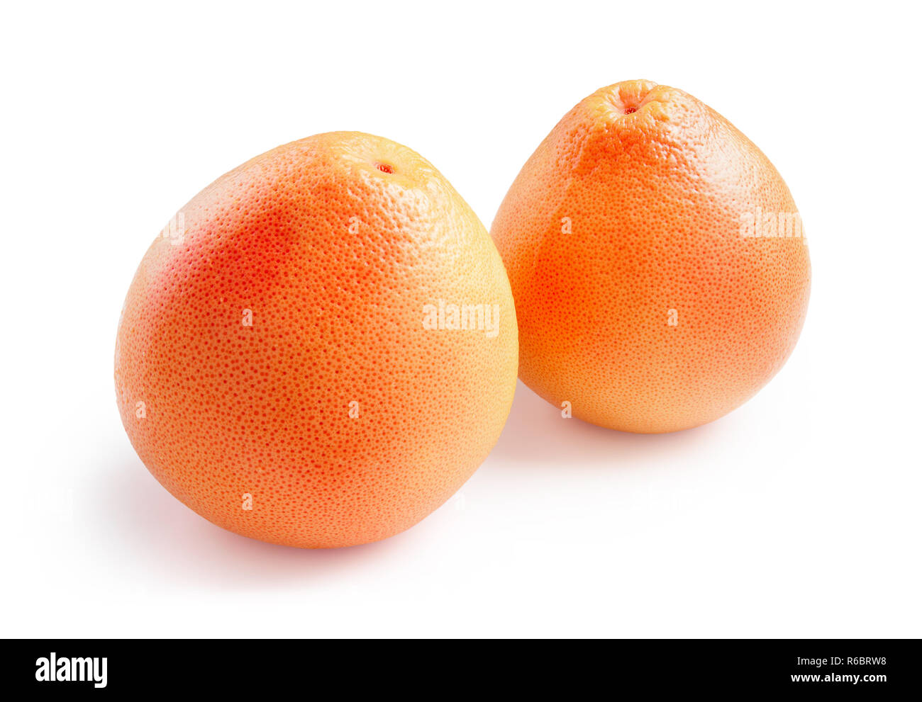 Pompelmo. Mature pompelmi con gocce d'acqua isolati su sfondo bianco Foto Stock