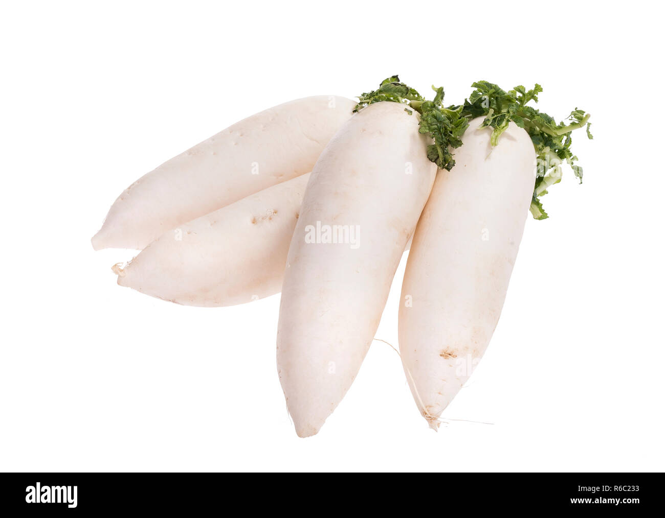 Daikon ravanelli isolati su sfondo bianco Foto Stock