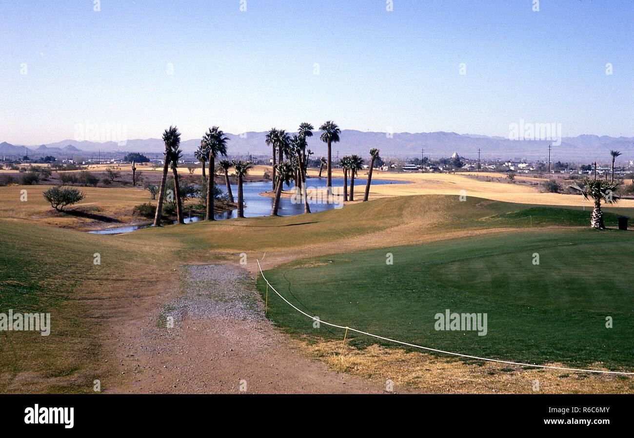 Vista panoramica affacciata a sud-ovest di palm-alberata in pericolo in acqua al 9° foro del Papago Campo da Golf, a Phoenix, Arizona, febbraio 1963. () Foto Stock