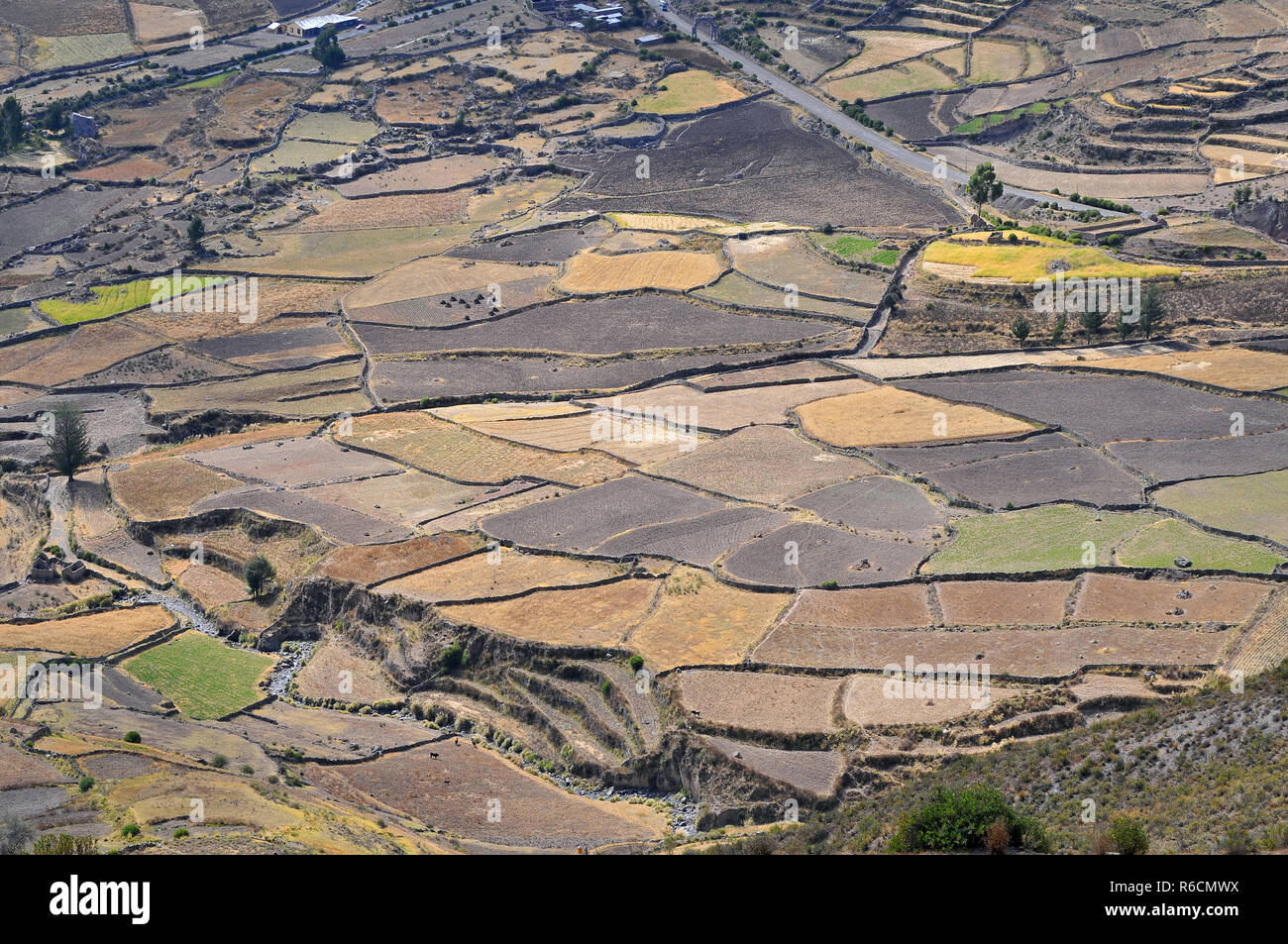 Il Perù, Colca Valley, coltivazioni a terrazza Foto Stock