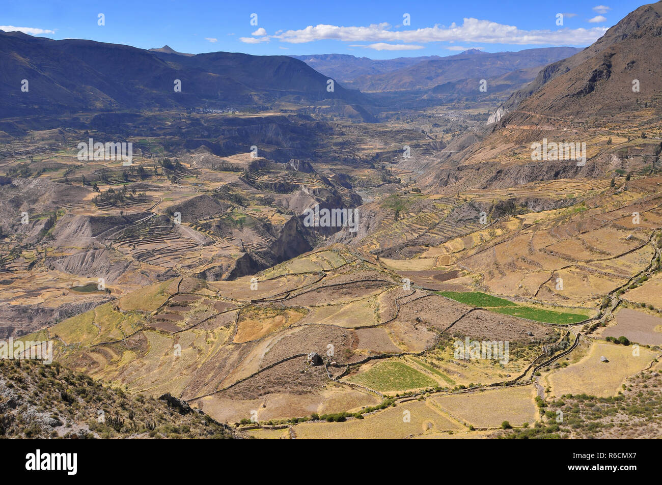 Il Perù, Colca Valley, coltivazioni a terrazza Foto Stock