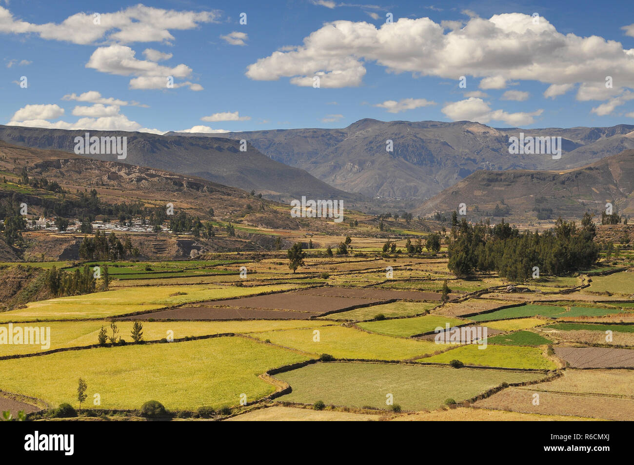 Il Perù, Colca Valley, coltivazioni a terrazza Foto Stock